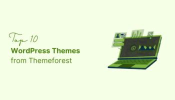 Top 10 WordPress Themes from ThemeForest for 2024