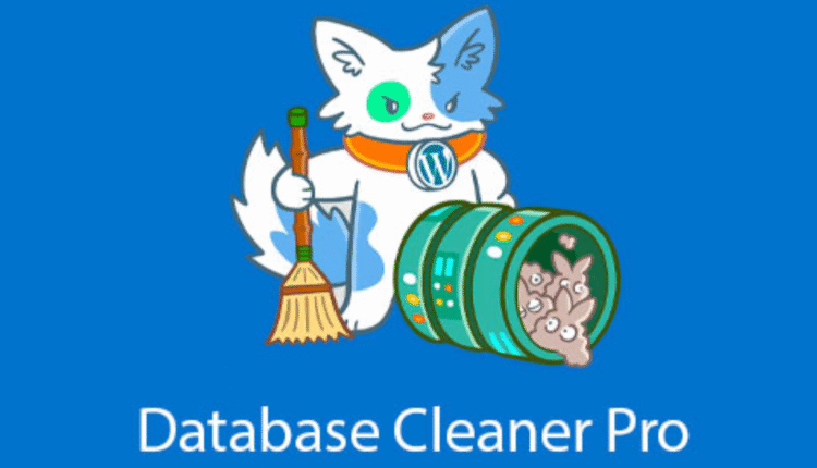 Database Cleaner Pro - Database Cleaner WordPress Plugin