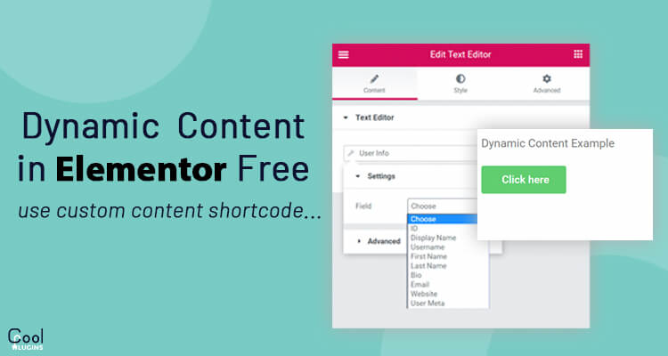 Dynamic Content for Elementor WordPress Plugin