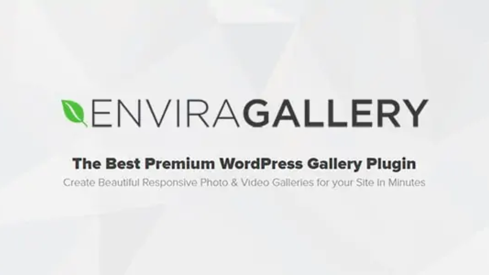 Envira Gallery v1.11.0 - Gallery Premium WordPress Plugin