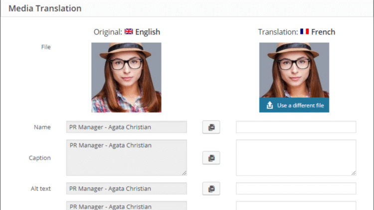 WPML Media Translation - WordPress Plugin