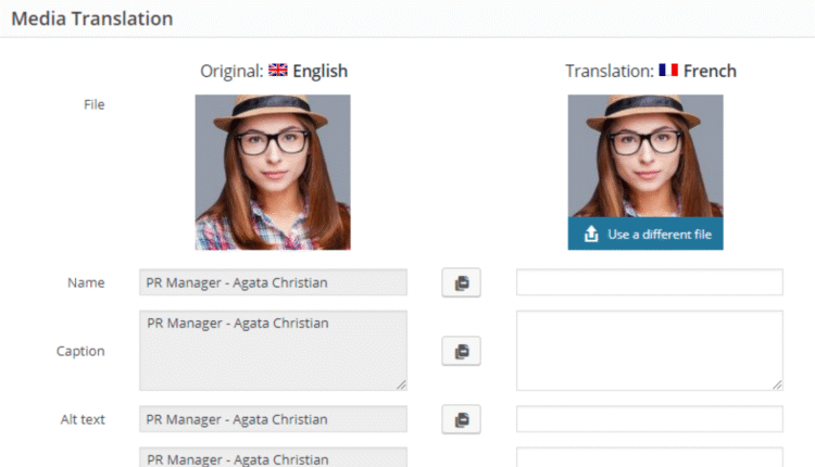 WPML Media Translation - WordPress Plugin